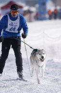 Lenk 2013